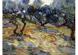 VR2-498 Vincent van Gogh - Olivovníky