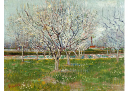 VR2-501 Vincent van Gogh - Sad s kvetoucími švestkami