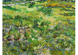 VR2-278 Vincent van Gogh - Louka v zahradě nemocnice Saint-Paul