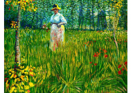 VR2-293 Vincent van Gogh - Žena v zahradě