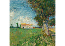 VR2-300 Vincent van Gogh - Statek v pšeničném poli