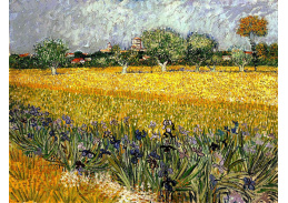 VR2-307 Vincent van Gogh - Pole s květinami u Arles