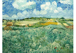 VR2-310 Vincent van Gogh - Rovina v blízkosti Auvers