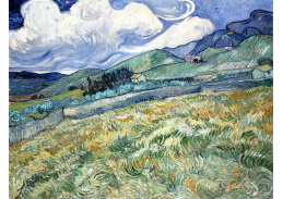VR2-49 Vincent van Gogh - Horská krajina za nemocnici Saint-Paul