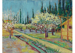 VR2-66 Vincent van Gogh - Kvetoucí sad obklopený cypřiši