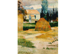 VR2-424 Vincent van Gogh - Krajina v Arles
