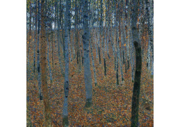 VR3-130 Gustav Klimt - Bukový les