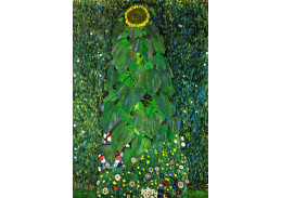 VR3-139 Gustav Klimt - Slunečnice