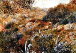 VR14-69 Pierre-Auguste Renoir - Divoká rokle alžírské krajiny