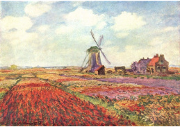 VCM 16 Claude Monet - Tulipány v Holandsku