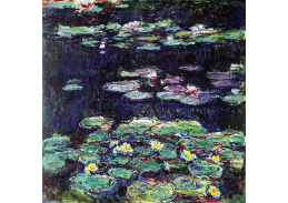 VCM 94 Claude Monet - Lekníny