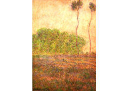 VCM 95 Claude Monet - Louka v Giverny