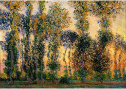 VCM 165 Claude Monet - Topoly v Giverny ve slunci
