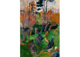 VPG 54 Paul Gauguin - Krajina Bretaně