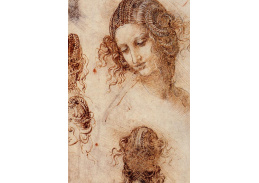 R1-239 Leonardo da Vinci - Studie hlava Ledy