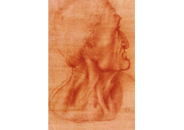 R1-237 Leonardo da Vinci - Studie hlavy Jidáše