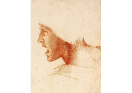 R1-299 Leonardo da Vinci - Studie hlavy bojovníka