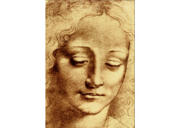 VR1-17 Leonardo da Vinci - Studie ženské hlavy