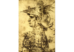 VR1-18 Leonardo da Vinci - Muž v helmici