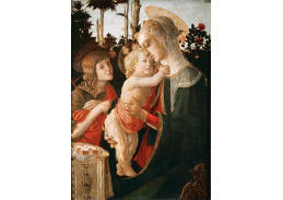 R17-24 Sandro Botticelli - Madonna mezi růžemi