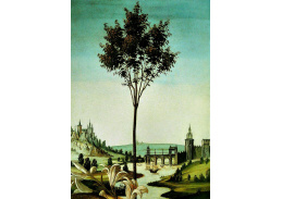 VR17-19 Sandro Botticelli - Zvěstování, detail