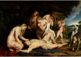 VRU190 Peter Paul Rubens - Adonisova smrt