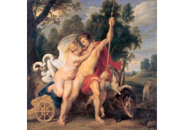 VRU174 Peter Paul Rubens - Venuše a Adonis