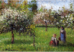 VCP-102 Camille Pissarro - Kvetoucí jabloně v Eragny
