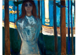 VEM13-27 Edvard Munch - Letní noc