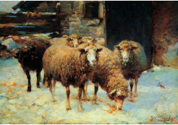 VN-116 Heinrich von Zügel - Ovce v zimě před stodolou