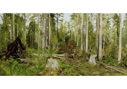 VR54 Ivan Ivanovič Šiškin - Borovicový les