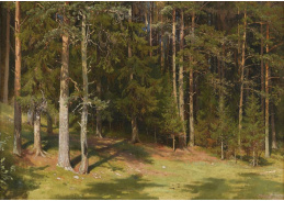 VR-342 Ivan Ivanovič Šiškin - Vyčištěný les