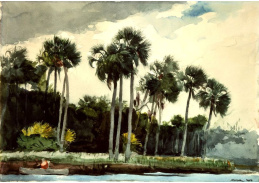 VU58 Winslow Homer - Červená košile, Florida
