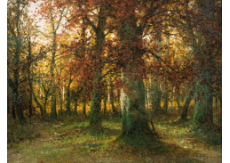 DDSO-2236 Adolf Kaufmann - Podzimní les