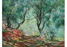 DDSO-2252 Claude Monet - Olivovníky v zahradě