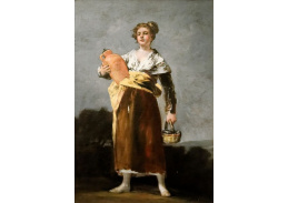 SO VII-152 Francisco de Goya - Nosič vody