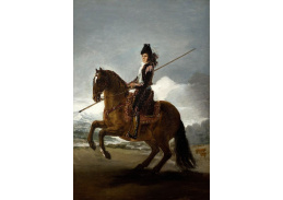 SO VII-207 Francisco de Goya - Kopí