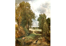 VSO59 John Constable - Obilné pole