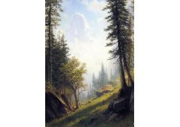 VSO 774 Albert Bierstadt - Bernské Alpy