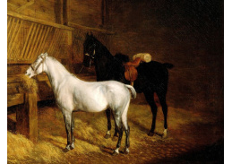 SO V-504 Jacques-Laurent Agasse - Černý a bílý kůň ve stáji
