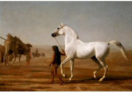 SO V-507 Jacques-Laurent Agasse - Arabský kůň na pouští
