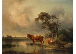 SO XII-107 Edmund Mahlknecht - Krávy u rybníka
