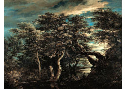 SOXII-203 Jacob van Isaacksz Ruisdael - Bažiny v lese za soumraku