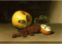 SO XIV-54 Raphaelle Peale - Zátiší s jablkem