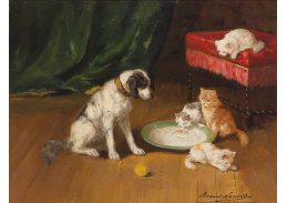 SO XVI-104 Alfred de Neuvill - Pes a kočky