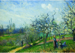 SO XVI-340 Camille Pissarro - Kvetoucí sad