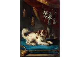 SO XVII-71 Francesco Fieravino - Portrét psa