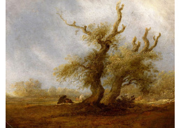 KO III-362 Salomon van Ruysdael - Lesnatá krajina s pastýřem