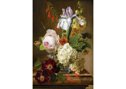 VKZ 425 Jan Frans Van Dael - Zátiší s květinami