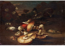 VZ194 Giuseppe Recco - Zátiší s ptáky a houbami 